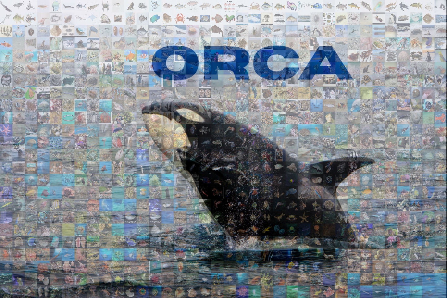 Header background image